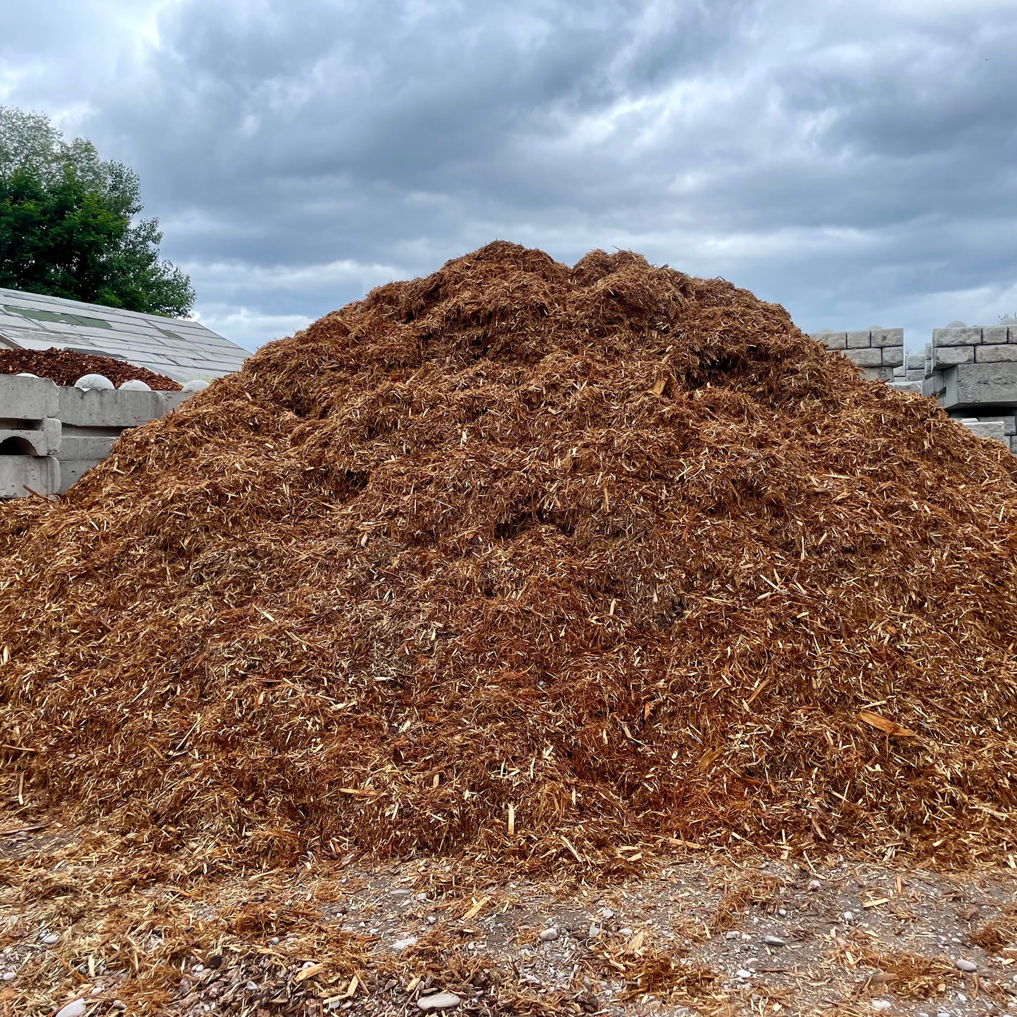 Shredded Cedar Mulch