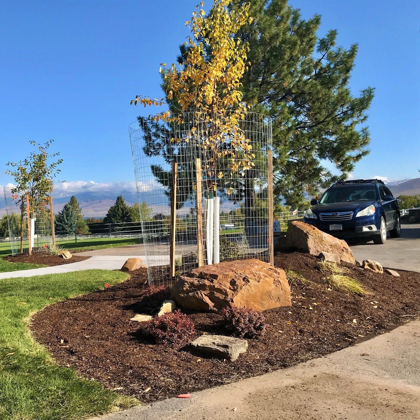 Soil Pep Mulch used in a landscape bed in the upper Miller Creek area of Missoula.